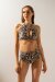 Shark Polewear Short taille haute Léopard