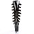 Pleaser Bottes ADORE-2043 Noir EU-37/US-7