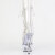 Pleaser DELIGHT-1021C Bottines à plateforme Transparent EU-35 / US-5