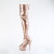 Pleaser DELIGHT-3000HWR Cuissardes à plateforme Holo Similicuir Or EU-36 / US-6
