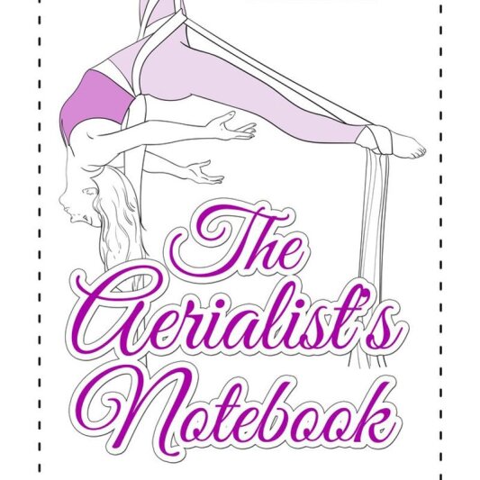 Livre Aerialists Notebook de Jill Franklin - Anglais
