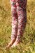 Legging Alpha Petali