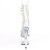 Pleaser ADORE-1021C Bottines à plateforme Transparent EU-37/US-7