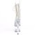Pleaser ADORE-1021C-2 Bottines à plateforme Strass Transparent EU-39/US-9