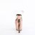 Pleaser RAPTURE-808-LT Sandales à plateforme Transparent Or Rose EU-36/US-6
