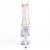 Pleaser STARDUST-1018C-2RS Bottines à plateforme Transparent Rose EU-35/US-5
