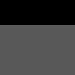 Gris / Noir