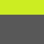 Gris / Vert clair